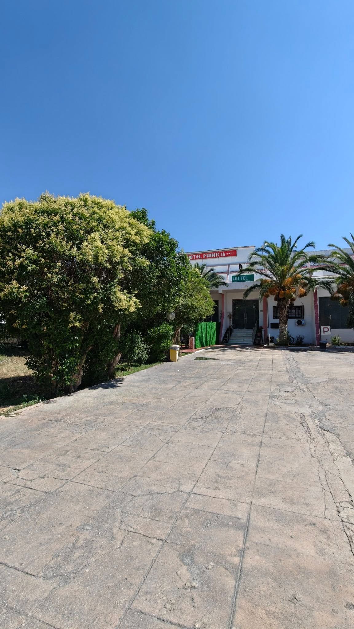 Chambre Simple — Hotel Phinicia — Bir El Rougaa